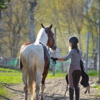 girl-sportswoman-and-her-horse-back-to-the-stables-2026-03-26-05-41-52-utc (1)